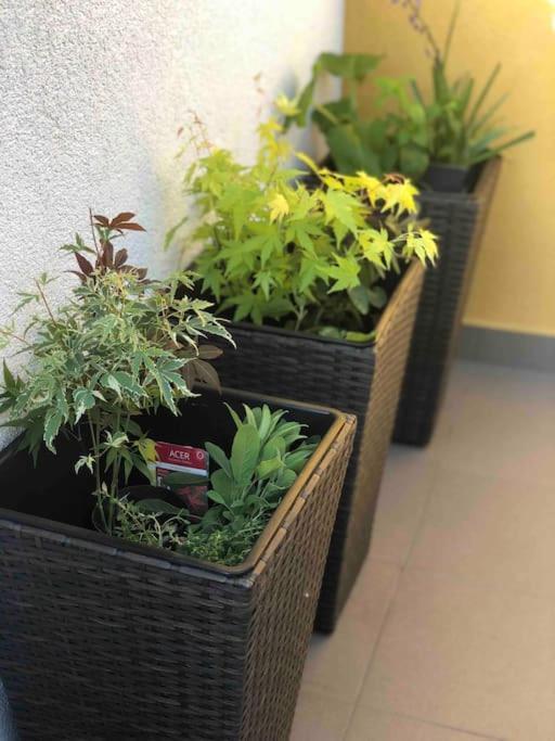 Spansko View -Comfy Apartment Zagrzeb Zewnętrze zdjęcie
